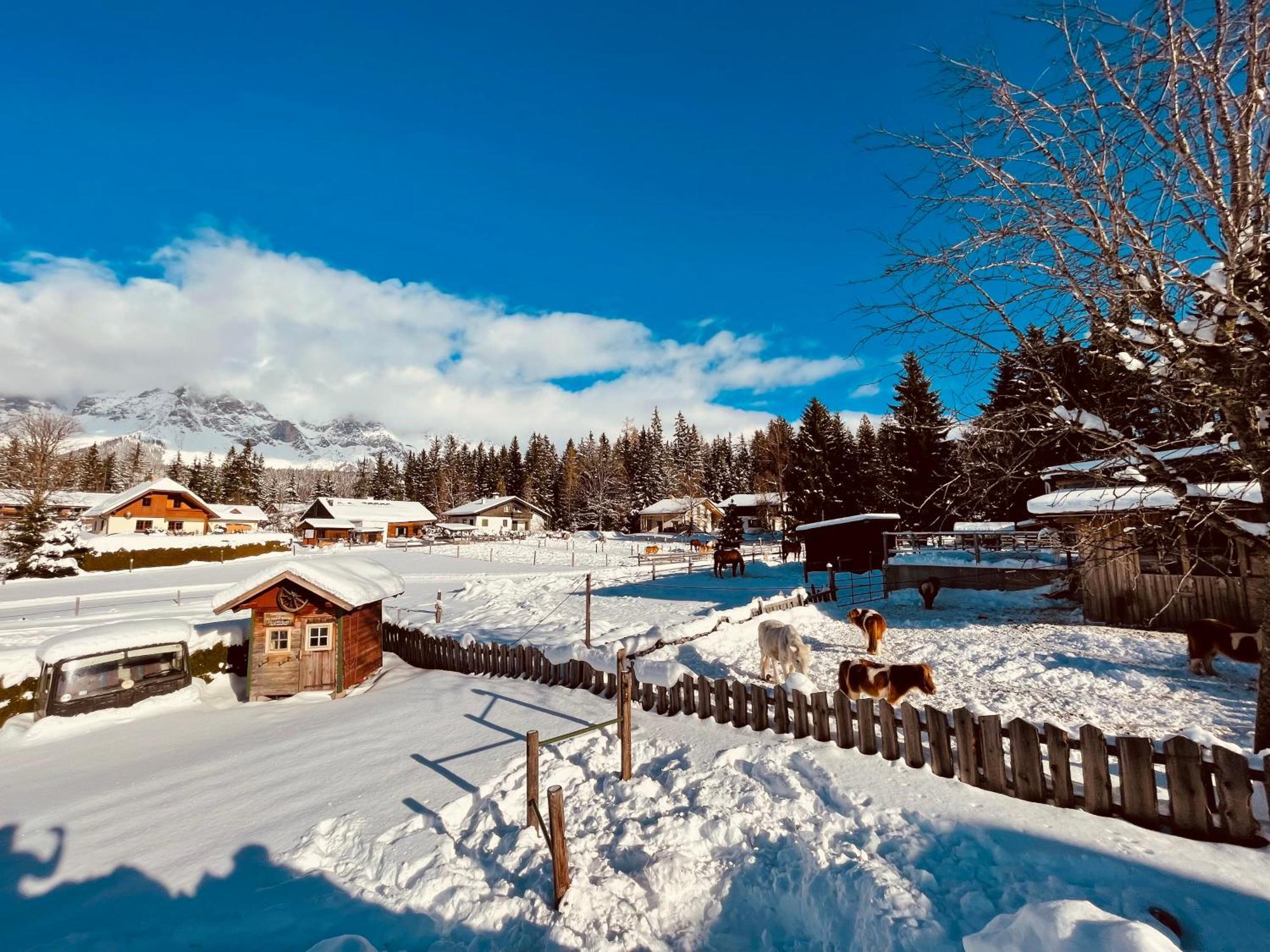 Pension Vorberghof- Bauernhofurlaub ラムサウ・アム・ダッハシュタイン エクステリア 写真